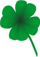 four leaf clover