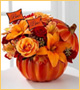 Orange pumpkin