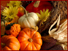 Pumpkins